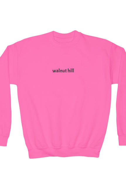 Walnut Hill Youth Crewneck Sweatshirt — Minimal Text Graphic