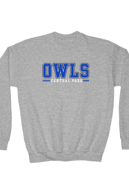Owls Central Park Youth Crewneck Sweatshirt — School Spirit Pullover