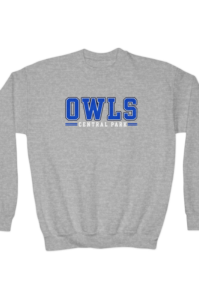 Owls Central Park Youth Crewneck Sweatshirt — School Spirit Pullover