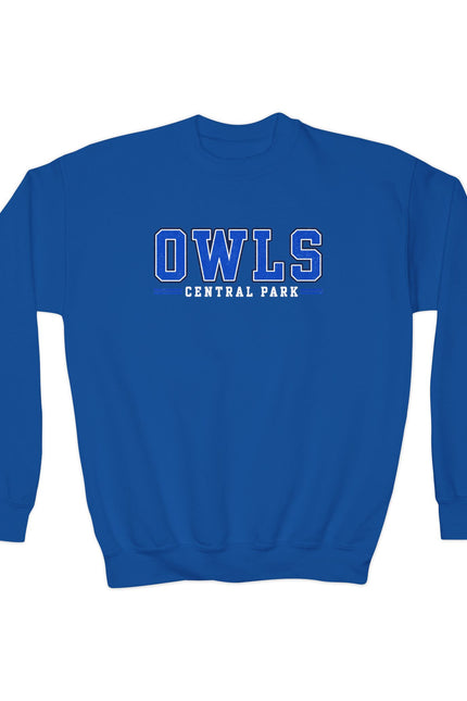 Owls Central Park Youth Crewneck Sweatshirt — School Spirit Pullover
