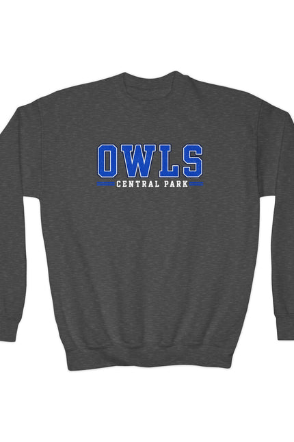 Owls Central Park Youth Crewneck Sweatshirt — School Spirit Pullover