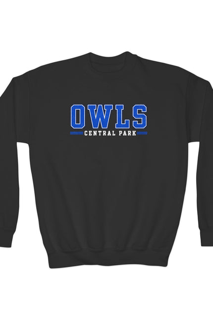 Owls Central Park Youth Crewneck Sweatshirt — School Spirit Pullover