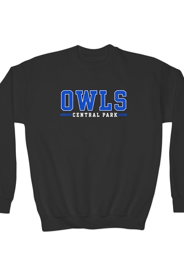 Owls Central Park Youth Crewneck Sweatshirt — School Spirit Pullover