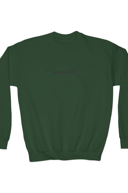 Walnut Hill Youth Crewneck Sweatshirt — Minimal Text Graphic