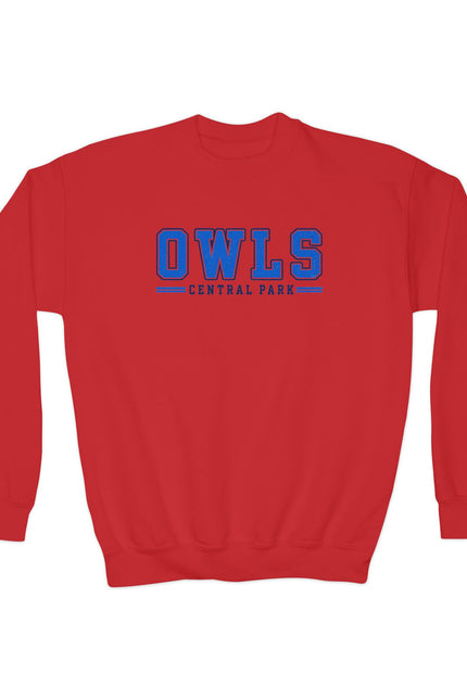 Owls Central Park Youth Crewneck Sweatshirt - School Mascot Kids Pullover