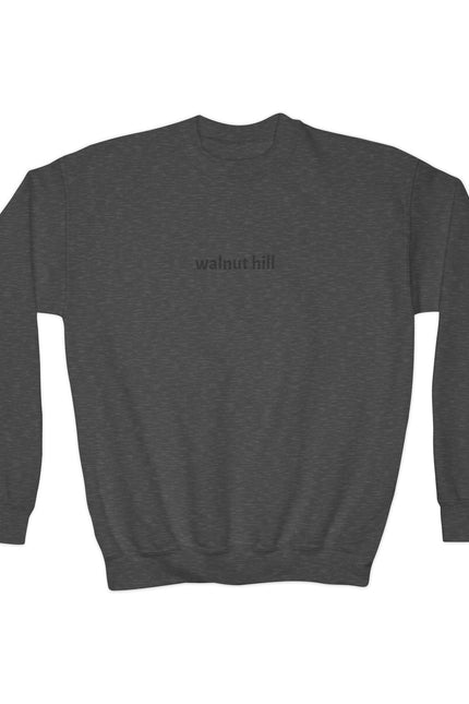 Walnut Hill Youth Crewneck Sweatshirt — Minimal Text Graphic