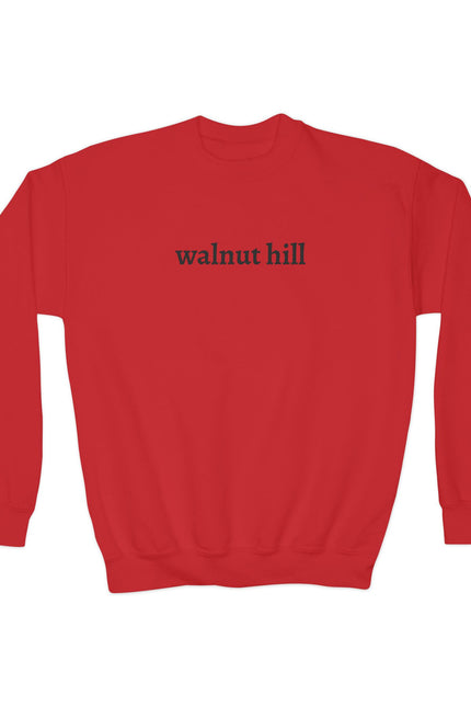 Youth Crewneck Sweatshirt – Walnut Hill School Spirit Pullover
