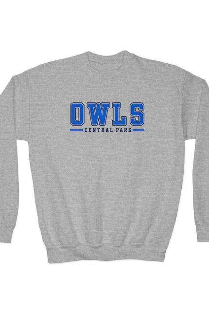 Owls Central Park Youth Crewneck Sweatshirt - School Mascot Kids Pullover