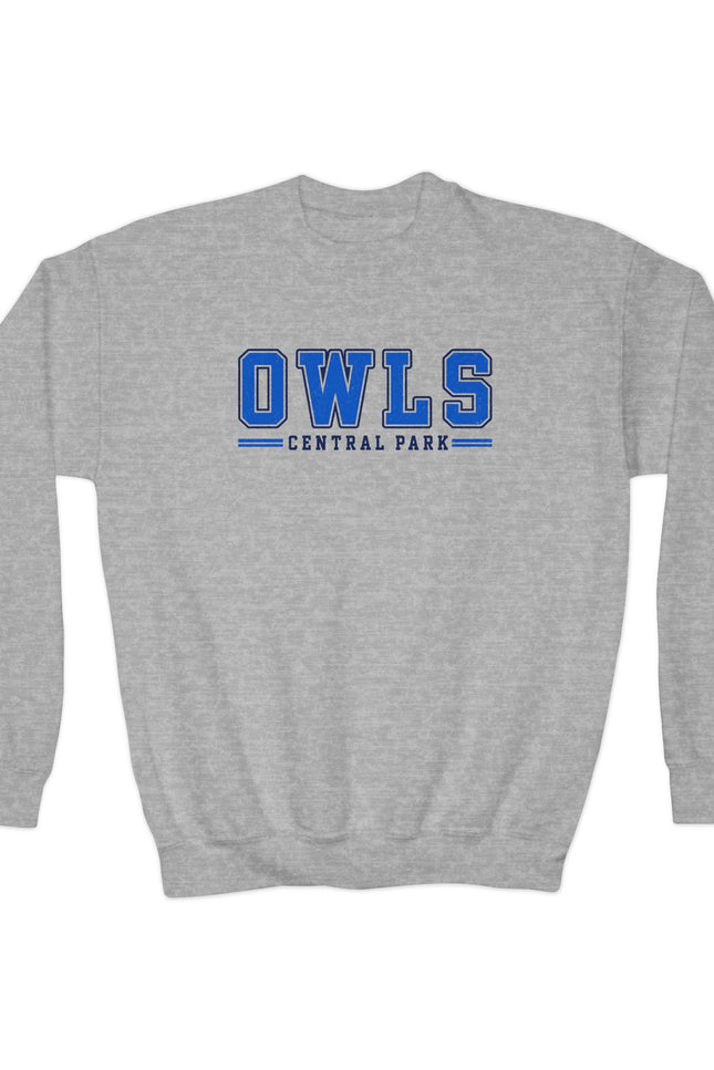 Owls Central Park Youth Crewneck Sweatshirt - School Mascot Kids Pullover