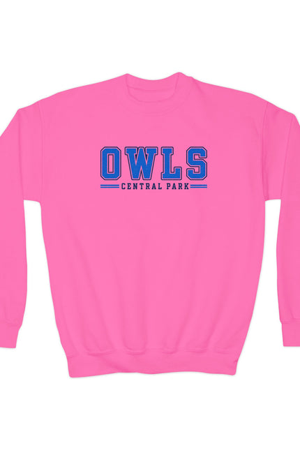 Owls Central Park Youth Crewneck Sweatshirt - School Mascot Kids Pullover