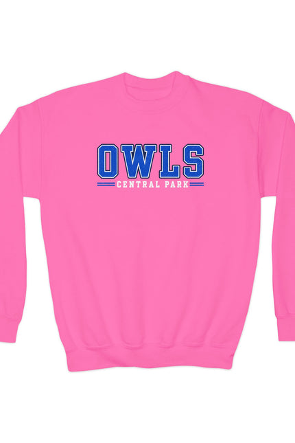Owls Central Park Youth Crewneck Sweatshirt — School Spirit Pullover