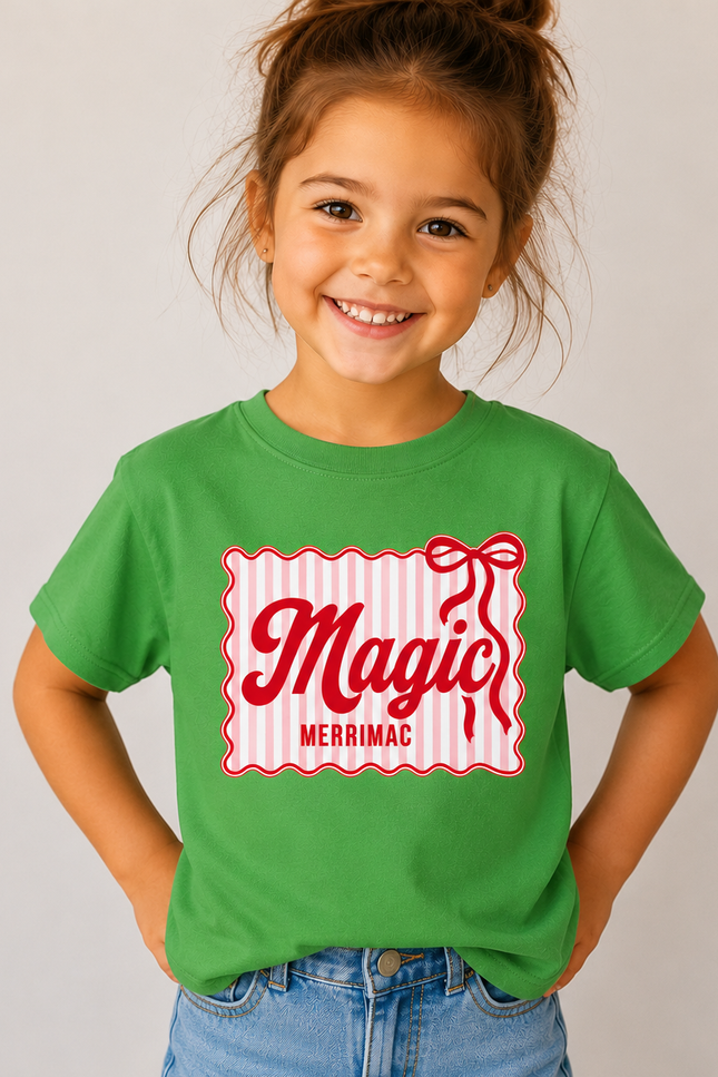 Merrimac Stripes Tshirt (Field Day Colors)